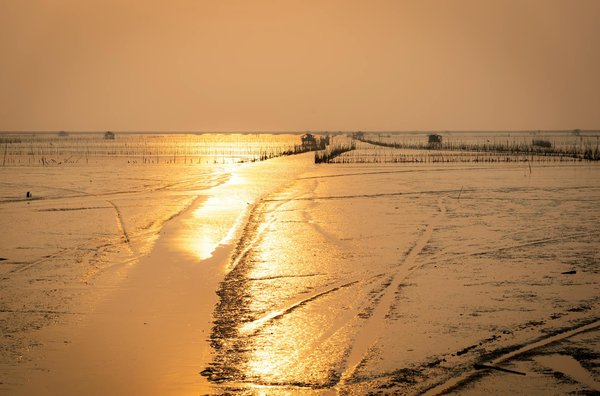 How to ensure a smooth sailing experience on a UK cruise?