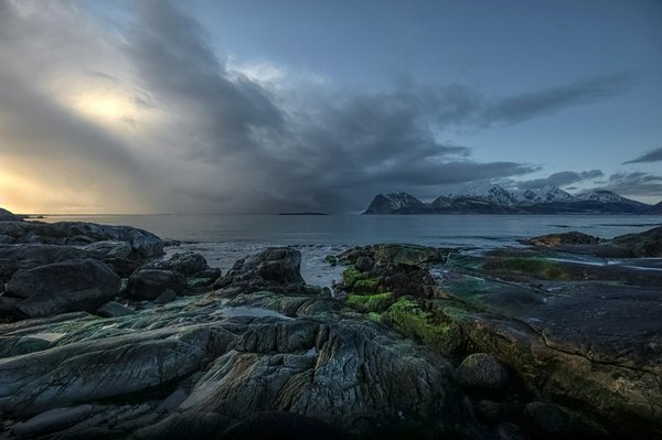 What are the top pet-friendly vacation rentals in the UK?