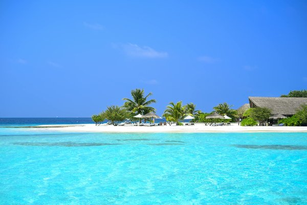 Explore your dream norfolk getaway: premium holiday rental with special windmill tour access!